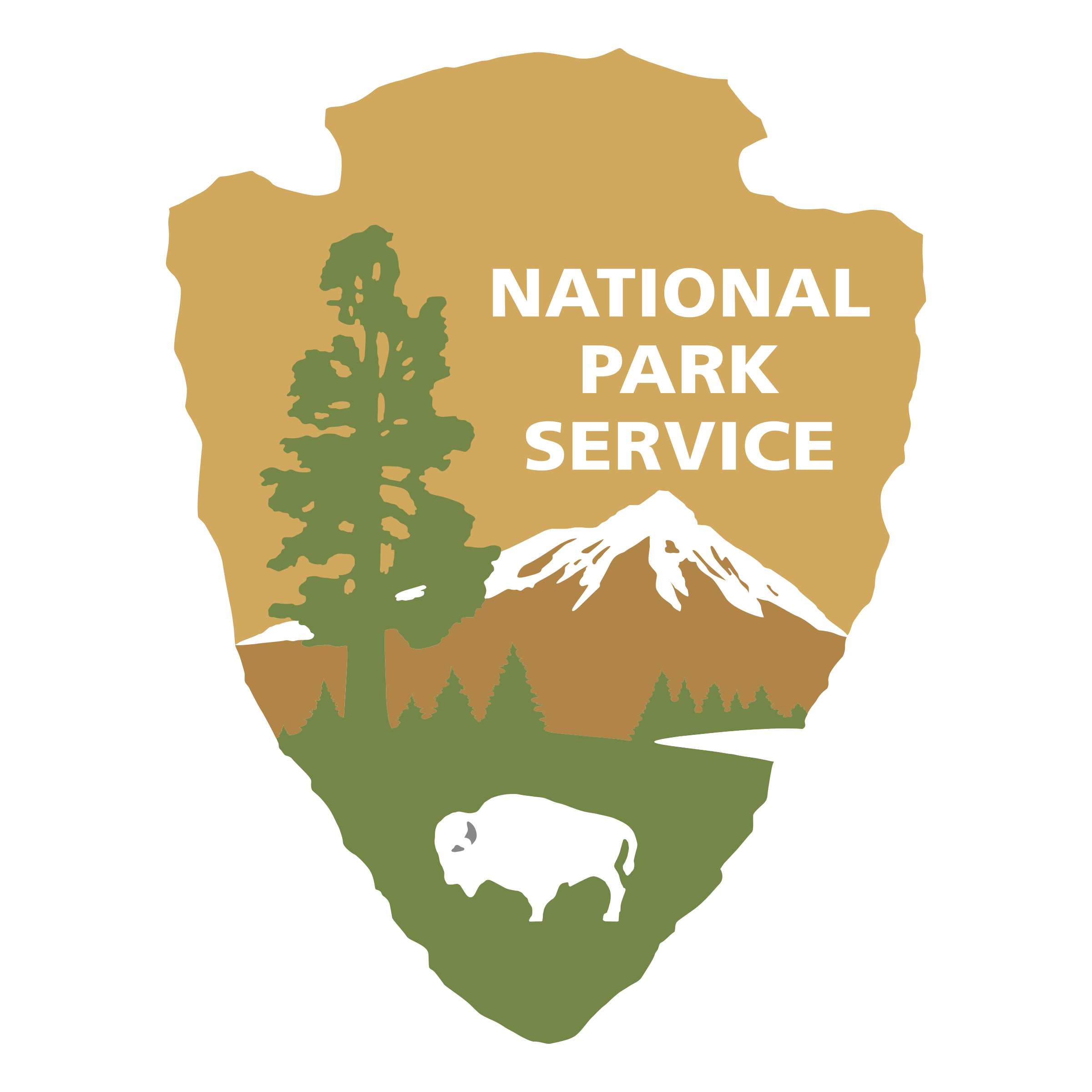 NPS